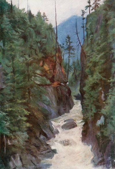 Capilano Canyon, nabij Noord-Vancouver door Harold Copping