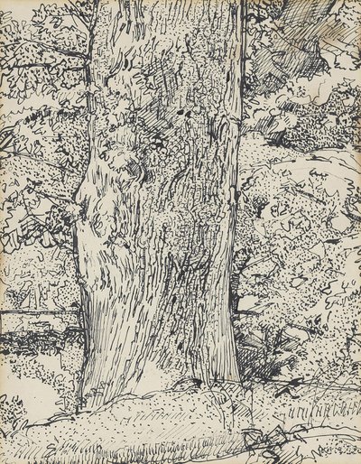 Boom, 1916 door Harold Gilman