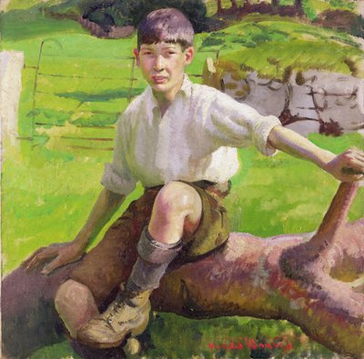 Een Cornish Jongen door Harold Harvey