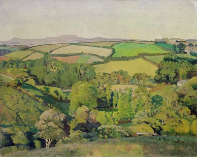 Driftvallei door Harold Harvey