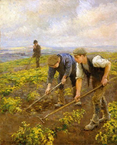 Wieden boven Mount