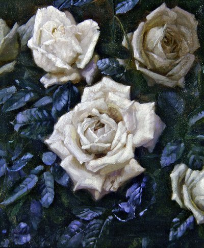 Witte Rozen door Harold Oakley