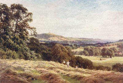 Een hooiveld, Wonersh door Harold Sutton Palmer