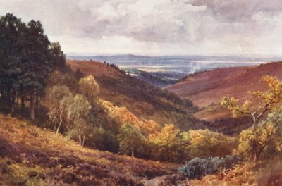 Hindhead, The Punchbowl, Kijkend naar het Noorden door Harold Sutton Palmer