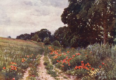 Klaprozen door Harold Sutton Palmer