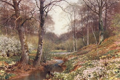 Lentebloesems, nabij Dorking door Harold Sutton Palmer