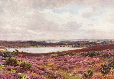 De Grote Vijver, Frensham door Harold Sutton Palmer