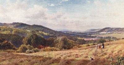 De Vale van Dorking door Harold Sutton Palmer