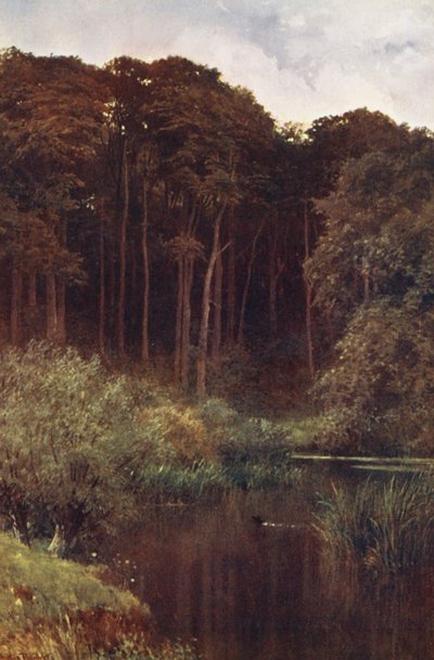 Diepten van het bos, Wotton door Harold Sutton Palmer