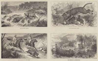 India en de Prins van Wales door Harrington Bird