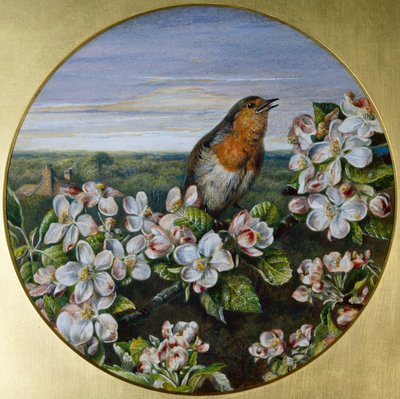 Een roodborstje tussen de bloesem door Harrison William Weir
