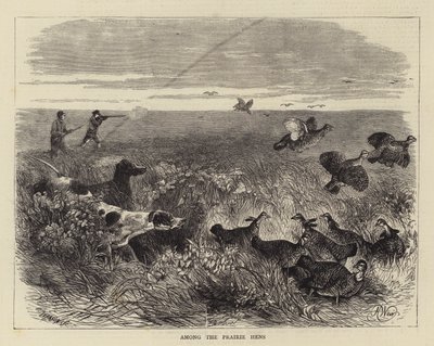 Onder de prairiehoenders door Harrison William Weir