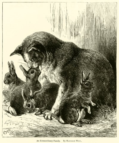 Een Buitengewoon Gezin door Harrison William Weir