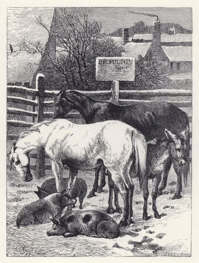 Dieren in de Kraal door Harrison William Weir