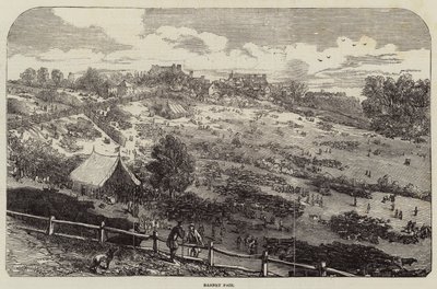 Barnet Fair door Harrison William Weir