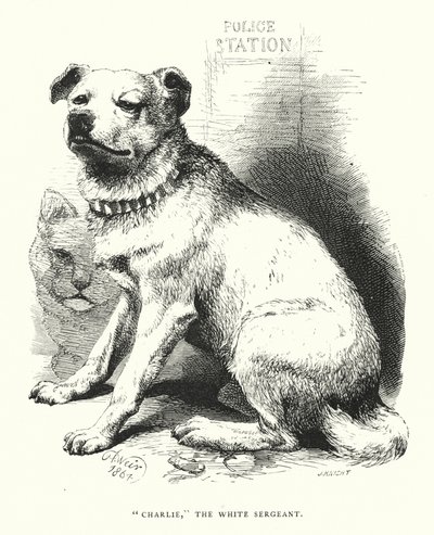 "Charlie," de Witte Sergeant door Harrison William Weir
