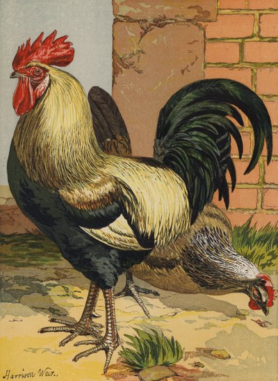 Gekleurde Dorkings door Harrison William Weir