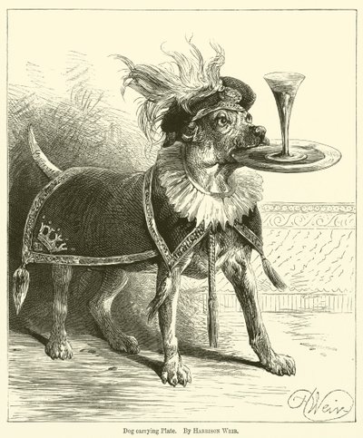 Hond draagt bord door Harrison William Weir