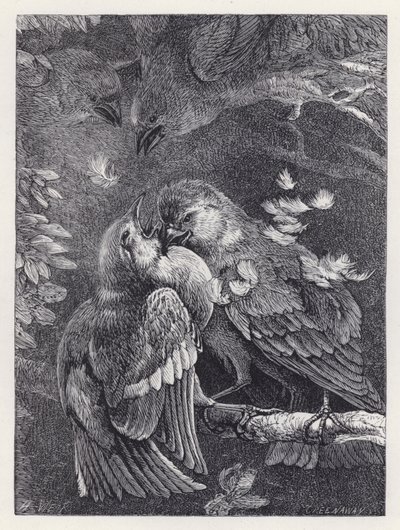Gevecht tussen een vink en een mus door Harrison William Weir