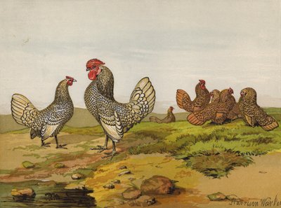 Goud- en zilvergekante Bantams door Harrison William Weir
