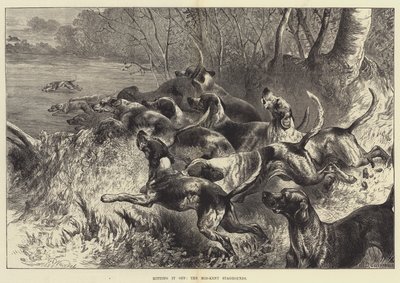 Het goed kunnen vinden, de Mid-Kent Staghounds door Harrison William Weir