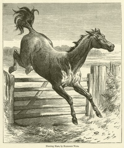 Jachtmerrie door Harrison William Weir