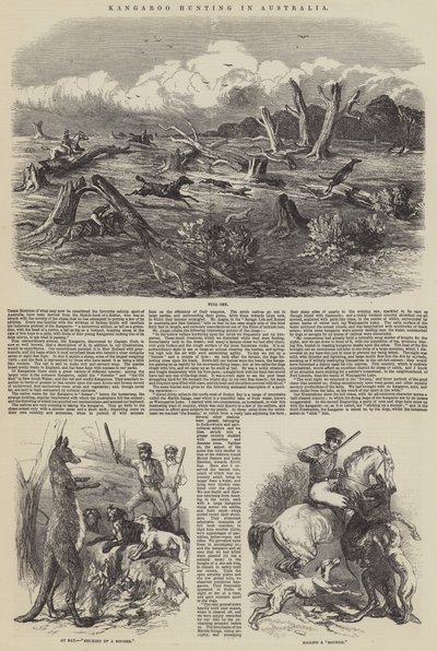 Kangoeroejacht in Australië door Harrison William Weir