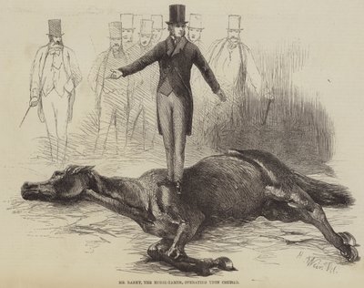 De Paardentemmer Mr. Rarey, werkend aan Cruiser door Harrison William Weir