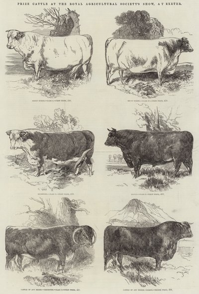 Prijsvee op de Royal Agricultural Society