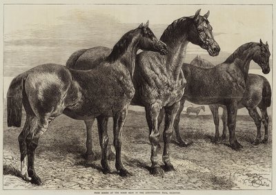 Prijs Paarden op de Paardenshow in de Agricultural Hall, Islington door Harrison William Weir