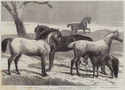 Prijswinnaars op de paardenbeurs in de Agricultural Hall, Islington door Harrison William Weir