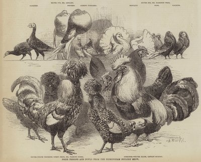 Prijsduiven en hoenders van de Birmingham Poultry Show door Harrison William Weir