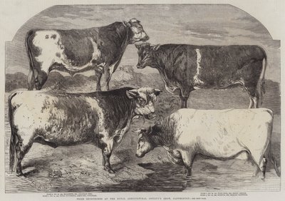 Prijs Shorthorns op de show van de Koninklijke Landbouwmaatschappij, Canterbury door Harrison William Weir
