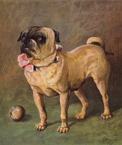 Puggy het huisdier door Harrison William Weir