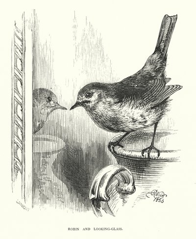 Robin en de Spiegel (gravure) door Harrison William Weir