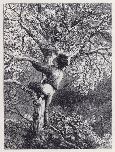 Het Nest van de Vinken Nemen door Harrison William Weir
