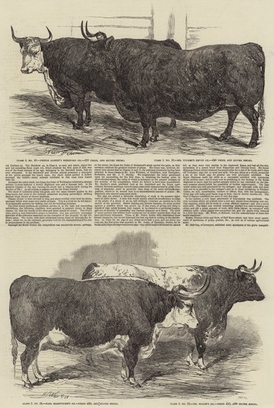De Jaarlijkse Tentoonstelling van de Smithfield Club door Harrison William Weir