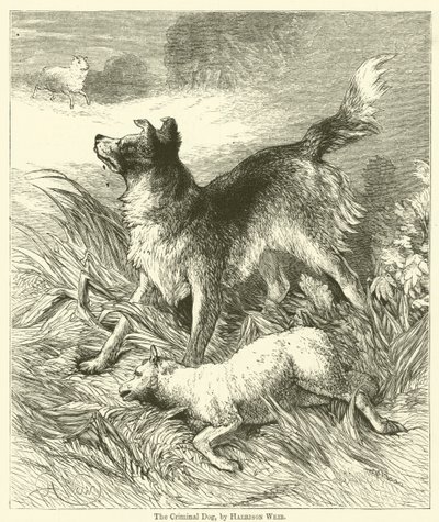 De criminele hond door Harrison William Weir