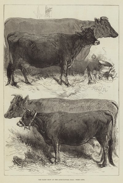 De Zuivelshow in de Landbouwhal, Prijskoeien door Harrison William Weir