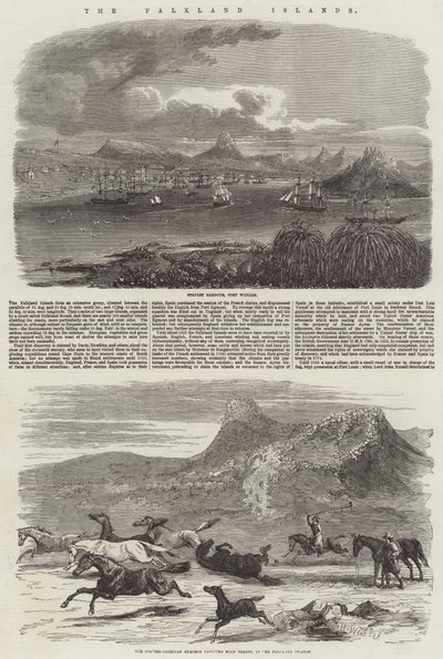 De Falklandeilanden door Harrison William Weir