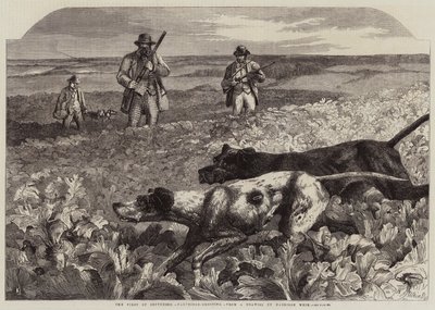 De Eerste van September, Patrijzenjacht door Harrison William Weir