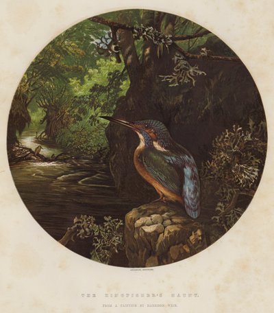 Het verblijf van de ijsvogel door Harrison William Weir