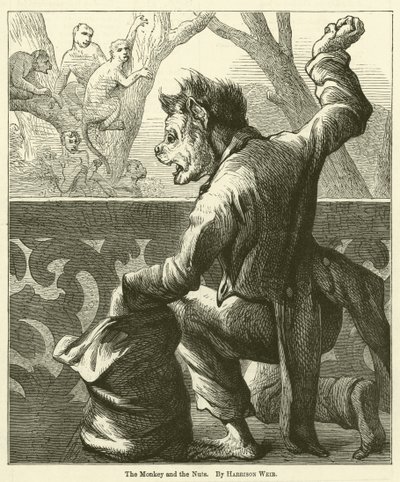 De Aap en de Noten door Harrison William Weir