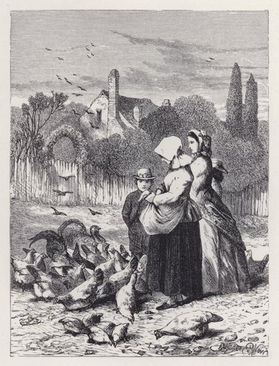 Het pluimveehof door Harrison William Weir