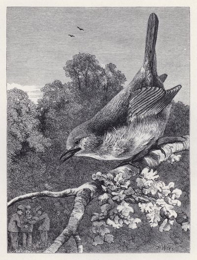 De Robin die de jongens met het nest bekijkt door Harrison William Weir