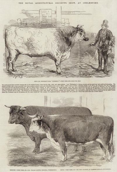 De show van de Koninklijke Landbouwmaatschappij, in Chelmsford door Harrison William Weir