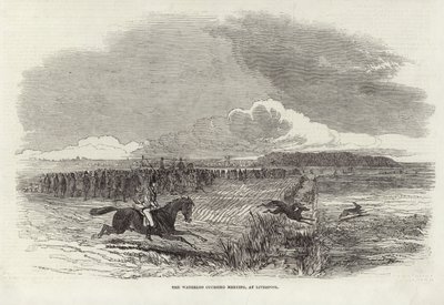 De Waterloo Coursing Meeting door Harrison William Weir