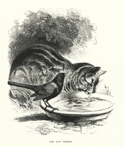 De Twee Vrienden (gravure) door Harrison William Weir