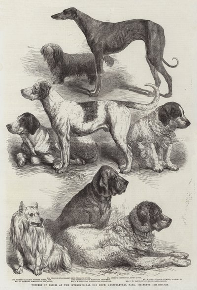 Prijswinnaars op de internationale hondenshow, Agricultural Hall, Islington door Harrison William Weir