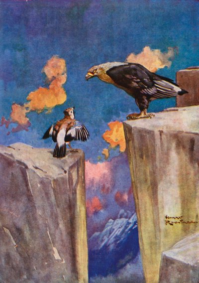 De Gaai en de Nachtegaal door Harry Rountree